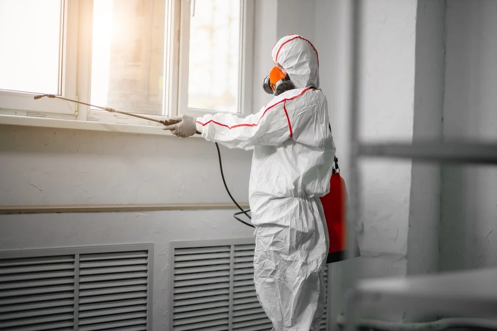 Professional mold remediation services in Little Elm, TX